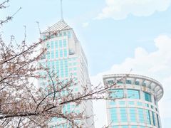 -西北湖绿化广场