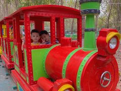 -长白岛森林公园