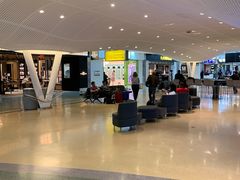 -约翰·菲茨杰拉德·肯尼迪国际机场