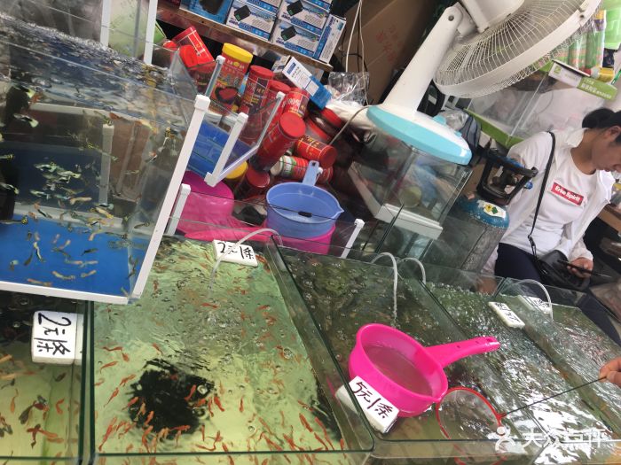 岚灵花鸟市场(灵石路店-图片-上海购物-大众点评网