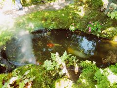 -Chom Cafe and Restaurant