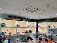 -lincat·猫舍(广州店)