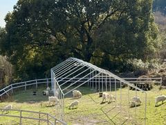 -杭州屏风山越野车营地·团建别墅轰趴民宿