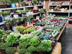 -秦美花卉(天朗·莱茵小城2期店)