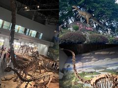 -自贡恐龙博物馆