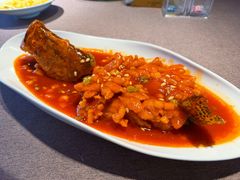 松鼠桂鱼-羲和雅苑•北京烤鸭(瑞吉店)