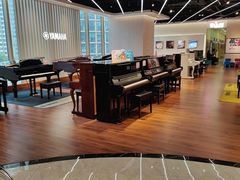 -知音艺术教育培训·钢琴培训·音乐培训(河西金鹰世界校区)