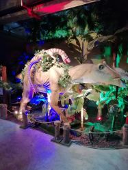 -恐龙探索乐园(磁器口店)