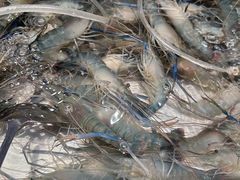 -菲住布渴酒店自助餐厅(阿里巴巴西溪园区店)