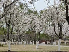 -汉梁文化公园