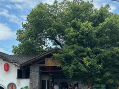 -李东农庄(中南百草园地标店)