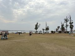 -漕湖湿地公园