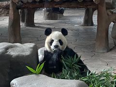 -宁波野生动物园