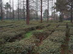 -宝岩生态观光园