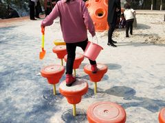 -铁山坪森林公园