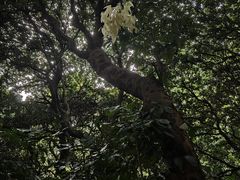 -深圳湾公园(南山区)