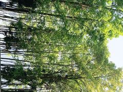 -雷波马湖风景区
