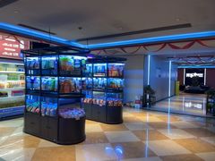 -开乐迪KTV(石桥店)