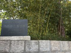 -九龙池景区