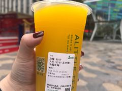 大橘大绿-1点点(东泰禾店)