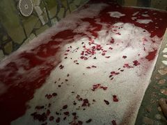 -兴芮温泉度假区