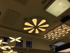 -张士灯具城(家居优选店)