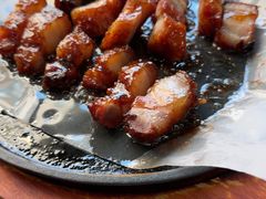 -长润·濑尿烧鹅