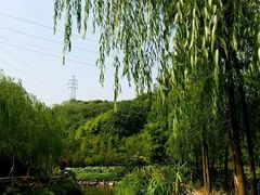 -重庆彩云湖湿地公园