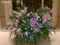 百合花（真花）-深圳东部华侨城茵特拉根酒店