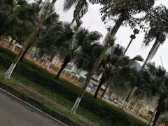 -重庆海昌加勒比海水世界