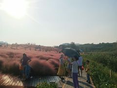 -金孔雀温泉旅游度假村