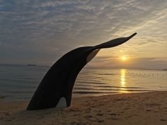 -碧桂园十里银滩