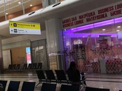-谢列梅捷沃国际机场