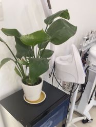 点击看大图 -Cream88颜皮肤管理中心