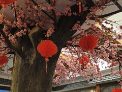 -鸥迪足道(安庆店)