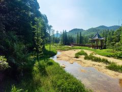 -广州市石门国家森林公园