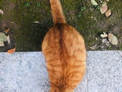 -苏州河梦清园环保主题公园