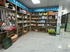-嘉馨宠物医院·CT影像转诊·心脏科·犬猫全科诊疗中心(下沙大学城院区)