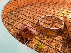 -酷嗒动物文化乐园(cutezoo西溪乐天城店)