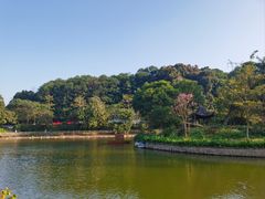 -广州市帽峰山景区