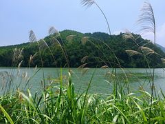 -秋浦河景区