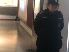 -浙江省博物馆(孤山馆区)