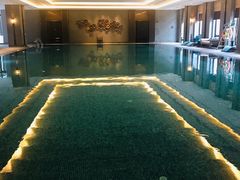 -上海崇明金茂凯悦酒店