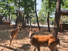 -南戴河国际娱乐中心