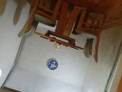 -金山农民画村-枫泾波兰倒置屋