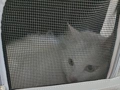 -美联众合动物医院·内科·皮肤科·外科(古城分院)