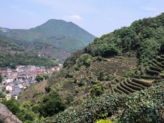 -午潮山国家森林公园