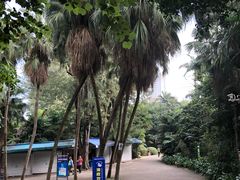 -北海市海滨公园