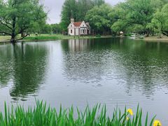 -上海共青森林公园