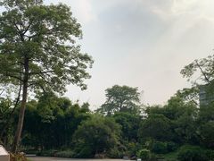 -晓港公园
